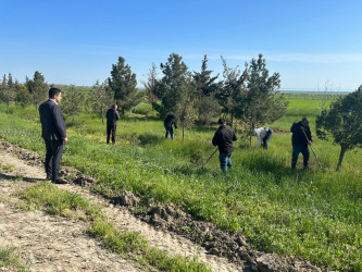 Siyəzən rayonunun şimal girişində abadlıq işləri aparılıb