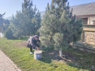 Siyəzən şəhərində  “Novruz bayramı” və “Konstitusiya və Suverenlik İli”nə həsr olunmuş iməclik təşkil edilmişdir
