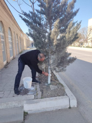 Siyəzən şəhərində  “Novruz bayramı” və “Konstitusiya və Suverenlik İli”nə həsr olunmuş iməclik təşkil edilmişdir
