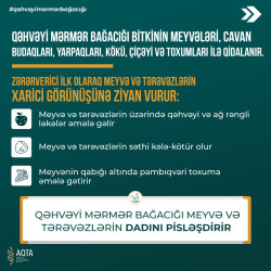 “Qəhvəyi mərmər bağacığına qarşı mübarizə tədbirlərinin aparılması ilə bağlı təklifləri”nin Siyəzən rayonunda icrasının təmin olunması ilə bağlı maarifləndirici tədbir keçirilmişdir