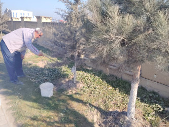 Siyəzən şəhərində  “Novruz bayramı” və “Konstitusiya və Suverenlik İli”nə həsr olunmuş iməclik təşkil edilmişdir