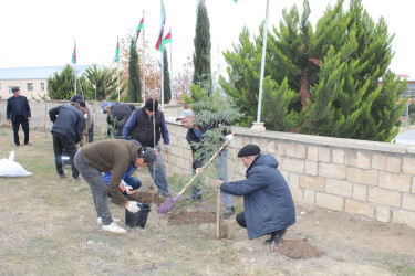 17 Noyabr – Milli Dirçəliş Günü ilə əlaqədar ağacəkmə aksiyası təşkil edilmiş, həmçinin abadlıq və təmizlik işləri aparılmışdır