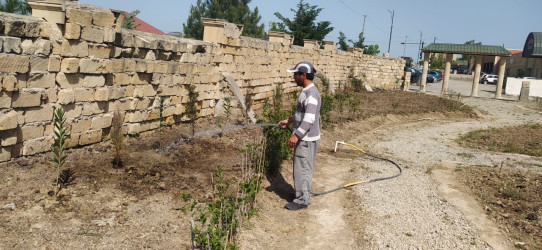 Siyəzən rayonunda iməclik aksiyası təşkil edilmişdir.