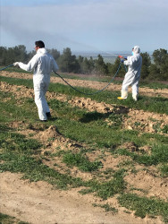 Dezinfeksiya işləri aparılmışdır