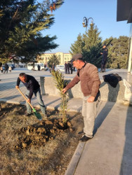 Siyəzən şəhərində  “Konstitusiya və Suverenlik İli”nə həsr olunmuş ağacəkmə aksiyası keçirilmişdir.