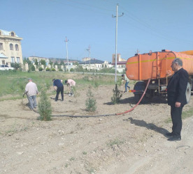 Siyəzən rayonunda iməclik aksiyası təşkil edilmişdir.