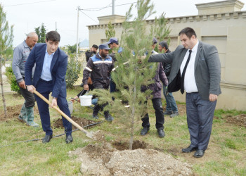 "Yaşıl dünya naminə həmrəylik ili" ilə əlaqədar ağacəkmə aksiyası keçirilmişdir