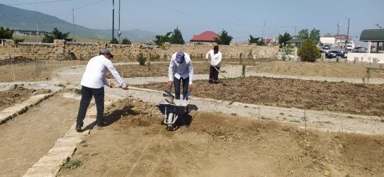 Siyəzən rayonunda iməclik aksiyası təşkil edilmişdir.