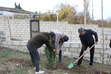 17 Noyabr – Milli Dirçəliş Günü ilə əlaqədar ağacəkmə aksiyası təşkil edilmiş, həmçinin abadlıq və təmizlik işləri aparılmışdır