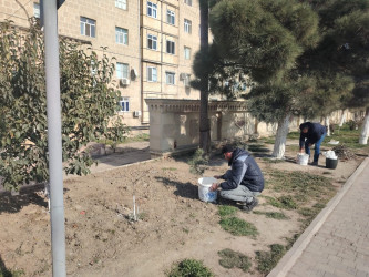 Siyəzən şəhərində  “Novruz bayramı” və “Konstitusiya və Suverenlik İli”nə həsr olunmuş iməclik təşkil edilmişdir