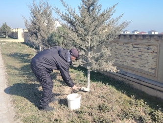 Siyəzən şəhərində  “Novruz bayramı” və “Konstitusiya və Suverenlik İli”nə həsr olunmuş iməclik təşkil edilmişdir