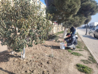 Siyəzən şəhərində  “Novruz bayramı” və “Konstitusiya və Suverenlik İli”nə həsr olunmuş iməclik təşkil edilmişdir