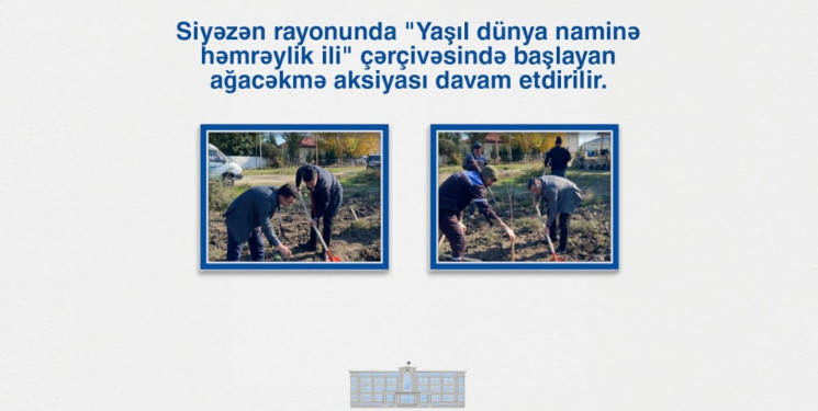 Siyəzən rayonunda "Yaşıl dünya naminə həmrəylik ili" çərçivəsində başlayan ağacəkmə aksiyası davam etdirilir