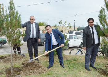 "Yaşıl dünya naminə həmrəylik ili" ilə əlaqədar ağacəkmə aksiyası keçirilmişdir