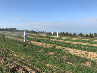 Dezinfeksiya işləri aparılmışdır