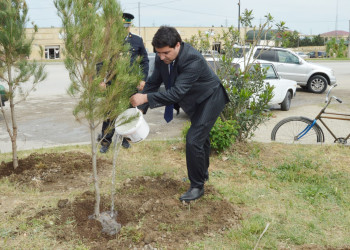 "Yaşıl dünya naminə həmrəylik ili" ilə əlaqədar ağacəkmə aksiyası keçirilmişdir